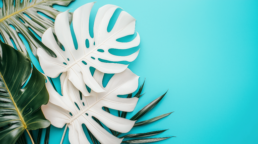 Papier peint feuillage tropical Motifs de feuilles blanches et vertes sur fond turquoise