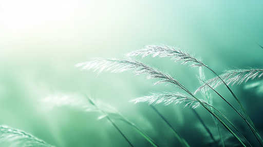 Papier peint feuillage vert d'eau Herbes sauvages en panoramique
