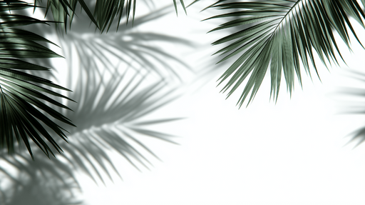 Papier peint feuillage vert et blanc Feuilles de palmiers tombantes et ombres