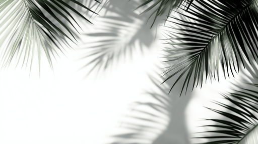 Papier peint feuillage vert et blanc Palmiers et ombres