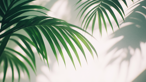 Papier peint feuillage vert Feuilles de palmiers vertes