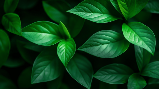 Papier peint feuillage vert Feuilles en zoom