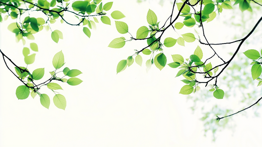 Papier peint feuillage vert Fond clair et feuilles vertes