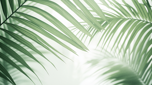 Papier peint feuillage vert Grandes feuilles de palmiers et lumiere