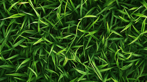 Papier peint feuillage vert Herbes en panoramique