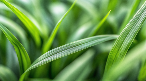 Papier peint feuillage vert Herbes en zoom