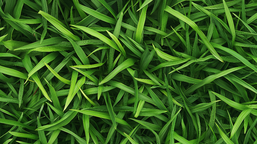 Papier peint feuillage vert Herbes verdoyantes en panoramique