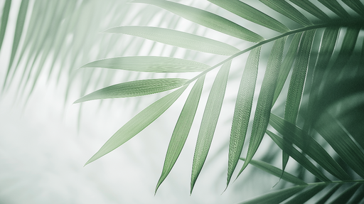 Papier peint feuillage vert Palmier et eclairage tamisé