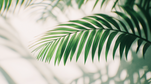 Papier peint feuillage vert Palmiers verts et ombres