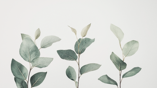 Papier peint feuillage vert Petites branches en panoramique épure