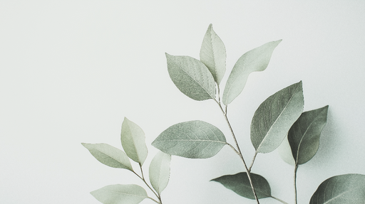 Papier peint feuillage vert Simples feuilles style épuré