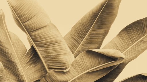 Papier peint feuille de bananier Feuilles de bananier en tonalités douces et chaleureuses