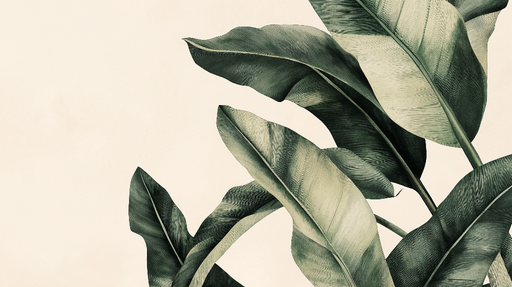 Papier peint feuille de bananier Feuilles de bananier stylisées sur fond doux