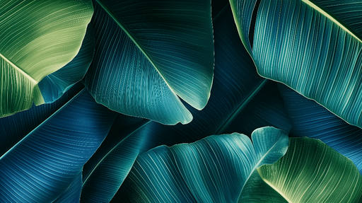 Papier peint feuille de bananier Feuilles vertes et bleues aux textures riches