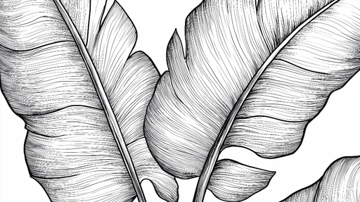 Papier peint feuille de bananier Illustration complexe de grandes feuilles en noir et blanc