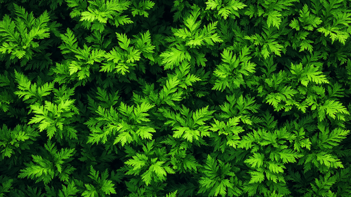 Papier peint feuille de bananier Un élégant motif de feuilles vertes luxuriantes