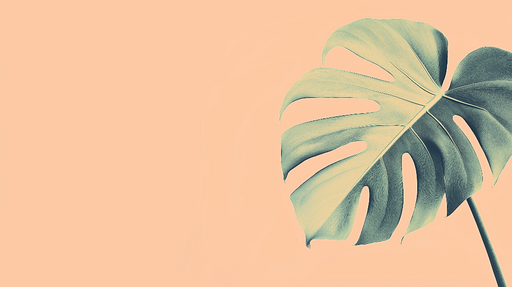 Papier peint feuille de monstera Feuille de monstera sur fond pêche