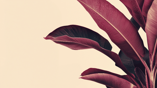 Papier peint feuilles de bananier Bordeaux Feuilles luxuriantes sur fond doux