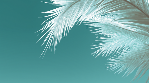 Papier peint feuilles de palmier Élégance aérienne avec des palmiers blancs sur fond turquoise