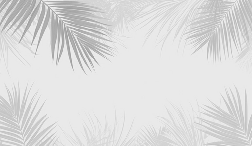 Papier peint feuilles de palmiers Nuances de gris.png