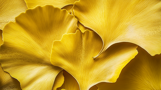 Papier peint feuilles dorées Motifs élégants de gingko biloba en teintes dorées