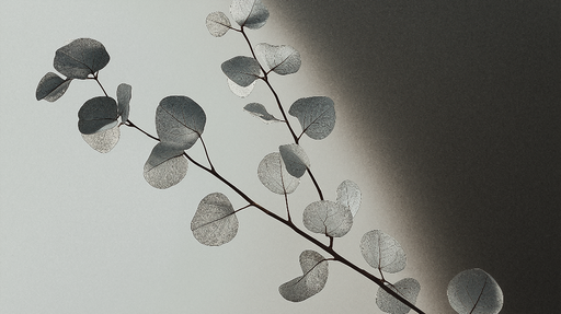 Papier peint feuilles élégantes Brindille de feuilles translucides sur fond minimaliste