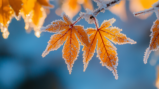 Papier peint feuilles givrées Éclat des feuilles d'automne sous la glace