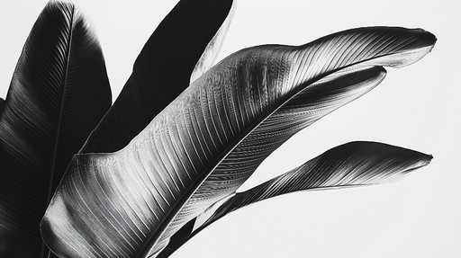 Papier peint feuilles noir et blanc Feuilles stylisées sur fond clair
