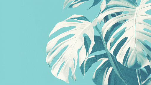 Papier peint feuilles tropicales bleu canard Feuilles de monstera sur fond turquoise