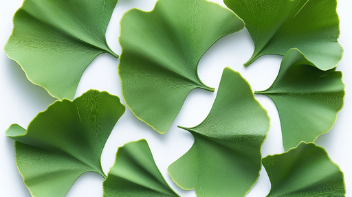 Papier peint feuilles vertes Motif de ginkgo dans des tons de vert luxuriant