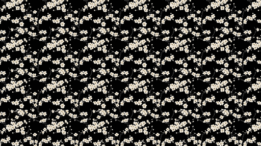 Papier peint fleurs blanches Motif de branches fleuries délicates sur fond noir