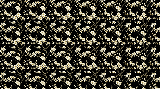 Papier peint fleurs blanches Motif délicat de branches fleuries sur fond noir