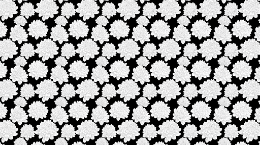 Papier peint fleurs blanches Motif floral délicat sur fond noir