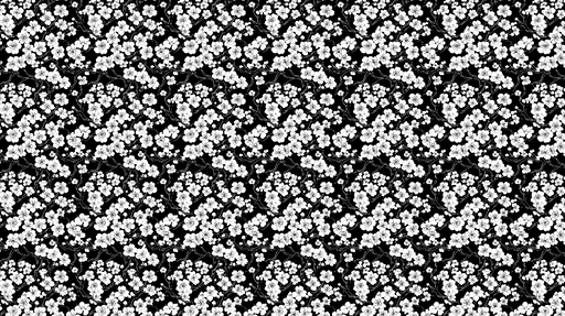 Papier peint fleurs blanches sur fond noir Élégant motif floral monochrome