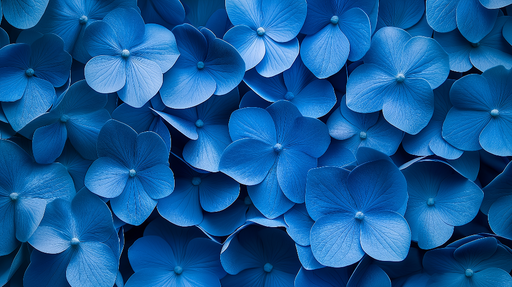 Papier peint fleurs bleues Pétales d'hortensia sur fond harmonieux