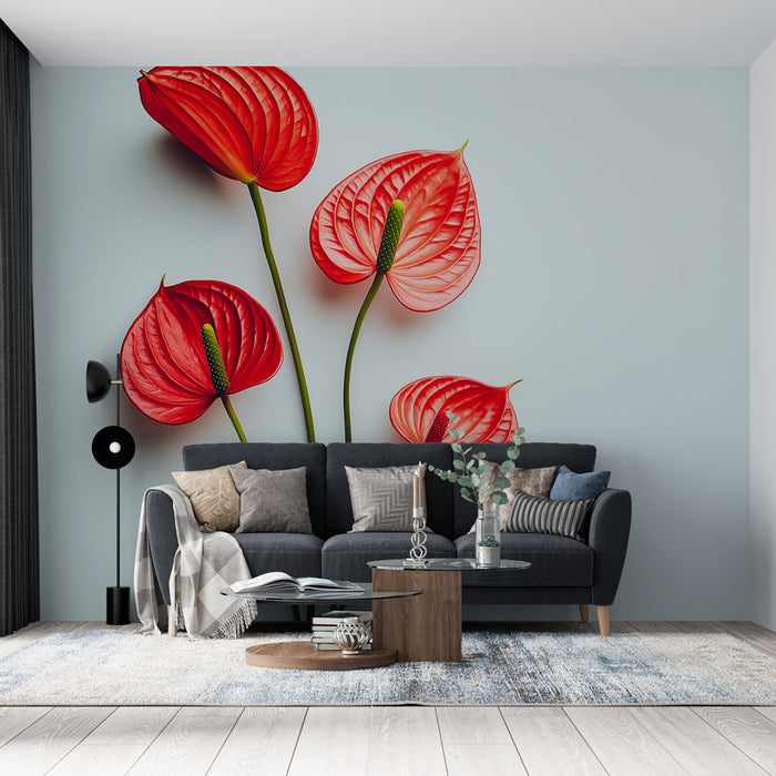 Papier peint fleurs | Élégantes fleurs d'Anthurium rouges sur fond blanc