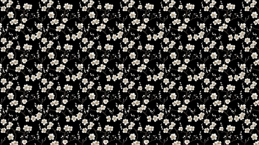 Papier peint floral Fleurs blanches sur fond noir élégant