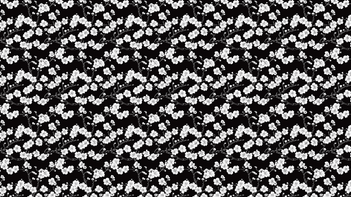 Papier peint floral noir et blanc Branches de fleurs délicates sur fond sombre