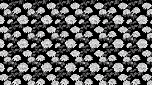 Papier peint floral noir et blanc Motif de chrysanthèmes délicats sur fond noir