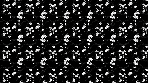 Papier peint floral noir et blanc Motif délicat de fleurs blanches sur fond sombre