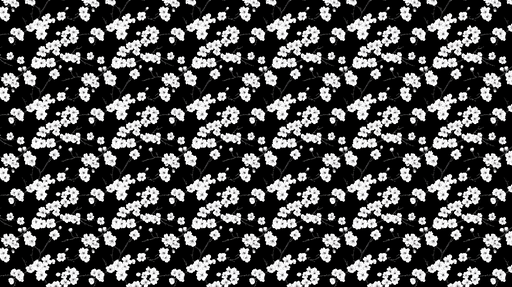 Papier peint floral noir et blanc Motifs de fleurs délicates sur fond noir