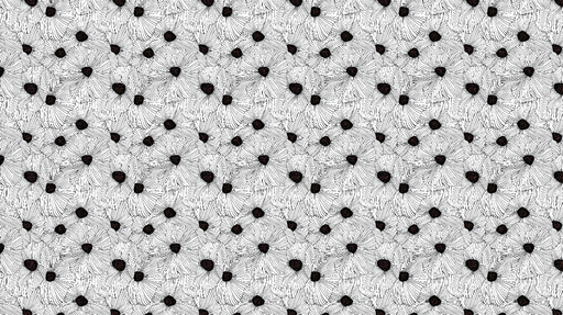 Papier peint floral noir et blanc Motifs floraux linéaires avec centres sombres