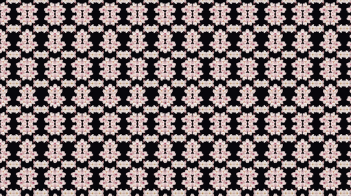 Papier peint floral sur fond noir Motifs délicats de fleurs roses et blanches