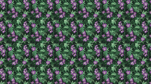 Papier peint floral violet Fleurs violettes et feuillage luxuriant sur fond sombre