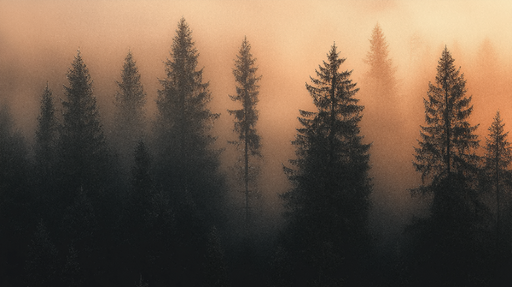 Papier peint forêt brumeuse Silhouettes d'arbres dans une atmosphère mystique