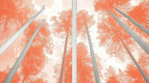 Papier peint forêt orange Une vue plongeante sur des arbres aux teintes orangées