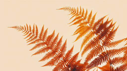 Papier peint fougère Fougères en dégradé orangé sur fond clair