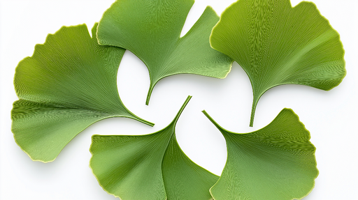 Papier peint ginkgo Feuilles de ginkgo striées sur fond blanc