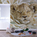 Une chambre d'enfant avec un papier peint illustrant un lion au regard paisible, entouré de feuilles aux teintes douces, créant une ambiance chaleureuse et apaisante.