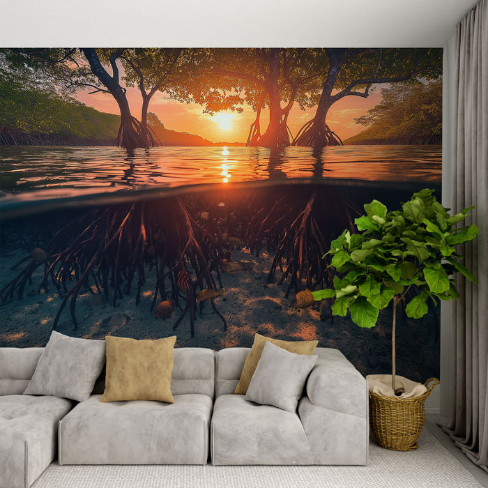 Papier peint mangrove | Racines de mangrove au coucher de soleil